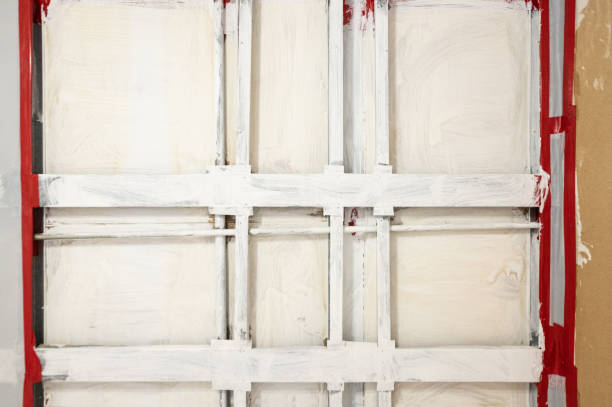 Best Mold Odor Removal Services  in Deephaven, MN
