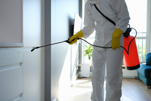 Best Forensic Mold Investigation  in Deephaven, MN